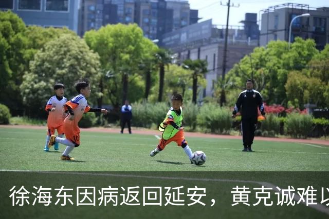 徐海东因病返回延安，黄克诚难以管控344旅，毛主席决定让杨得志接手