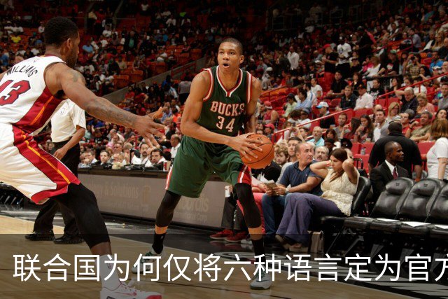 联合国为何仅将六种语言定为官方语言？印度语、德语、葡语、意大利语、日语的使用者也都不少，怎么就是进不了联合国语言体系？