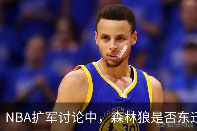 NBA扩军讨论中，森林狼是否东迁尚无定论